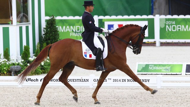 Jeux Equestres Mondiaux FEI Alltech-Itv d'Alexandre AYACHE