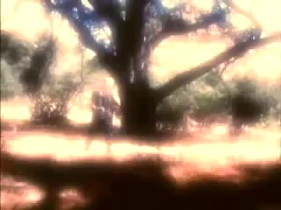 Pythons 2 DVD Trailer