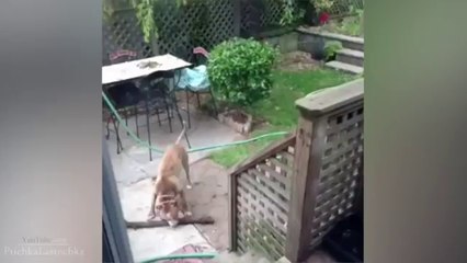 Pranks - Gags - Win - Fail.155