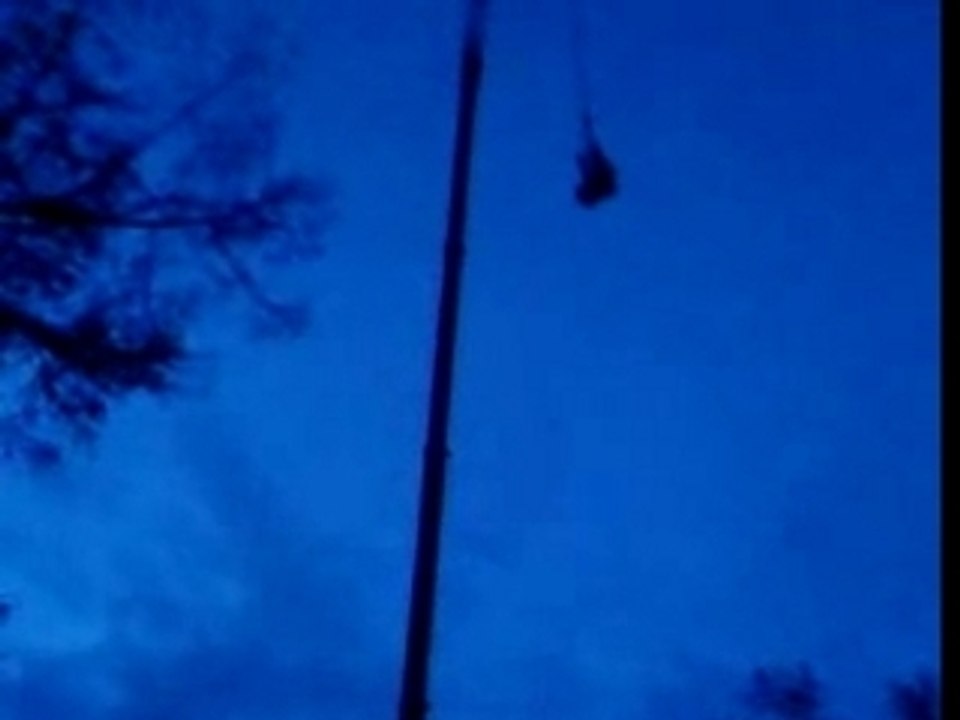 Yoan saute a l'elastique