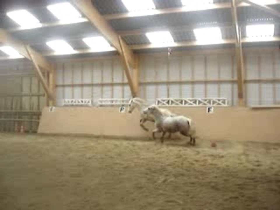 Hamalh & Orage, Ecuries du bout du monde