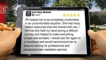 East Valley Mediator Gilbert         Wonderful         5 Star Review by Lisa V.