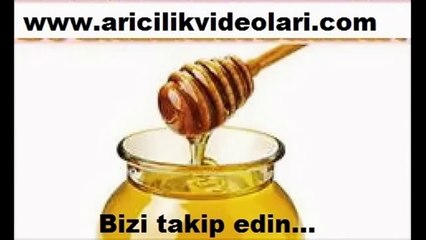 2013 Yılı Sahte Bal Markaları