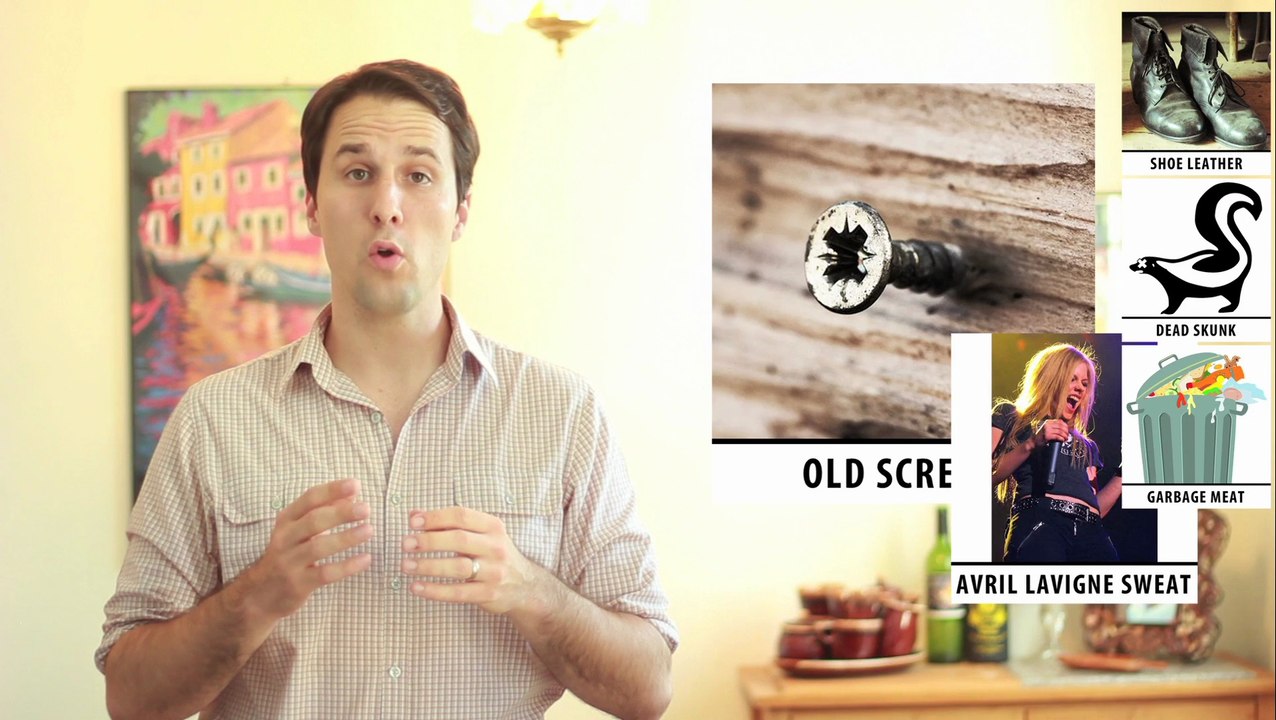 It's a Fucking Dog Dog Food