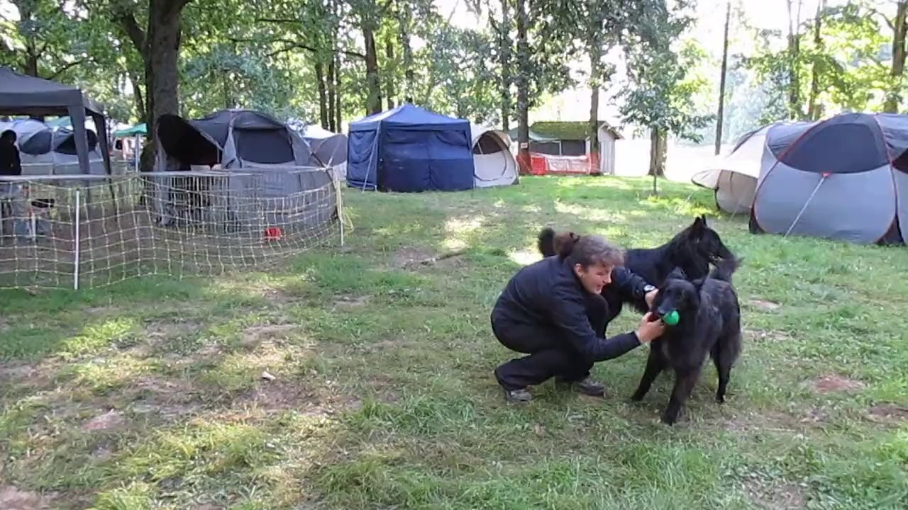 24 août 2014 : Celtic et Ippo à Aubigny