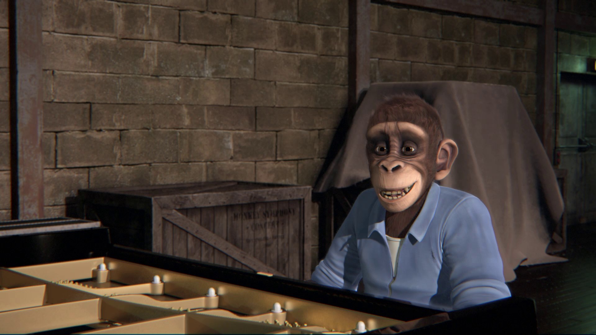⁣Monkey symphony