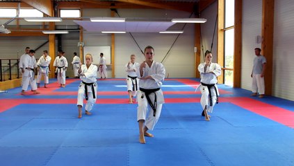 Objectif Brême 2014 - Stage Equipe de France Kata - 24 août 2014