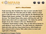 Wild life Tour Packages Gujarat | Compass tourism