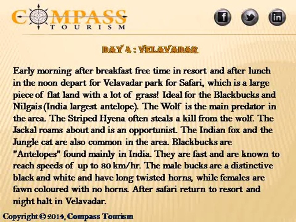 Wild life Tour Packages Gujarat | Compass tourism