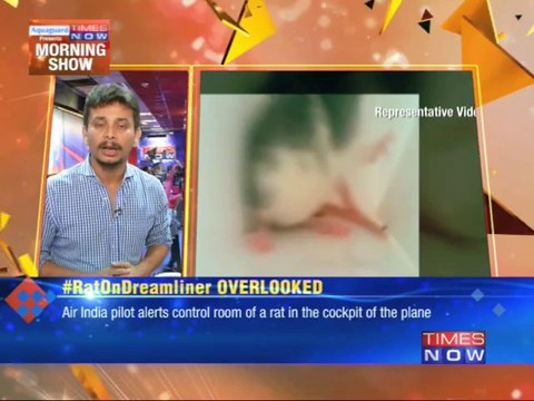 Pilot finds rats aboard dreamliner