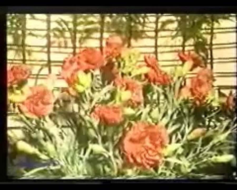 حفلة تنكرية _ العلم والإيمان
