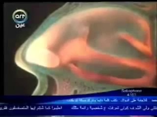 الكلام _ العلم والإيمان