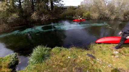 Test Live V2 - Cell VTY (REPLAY)