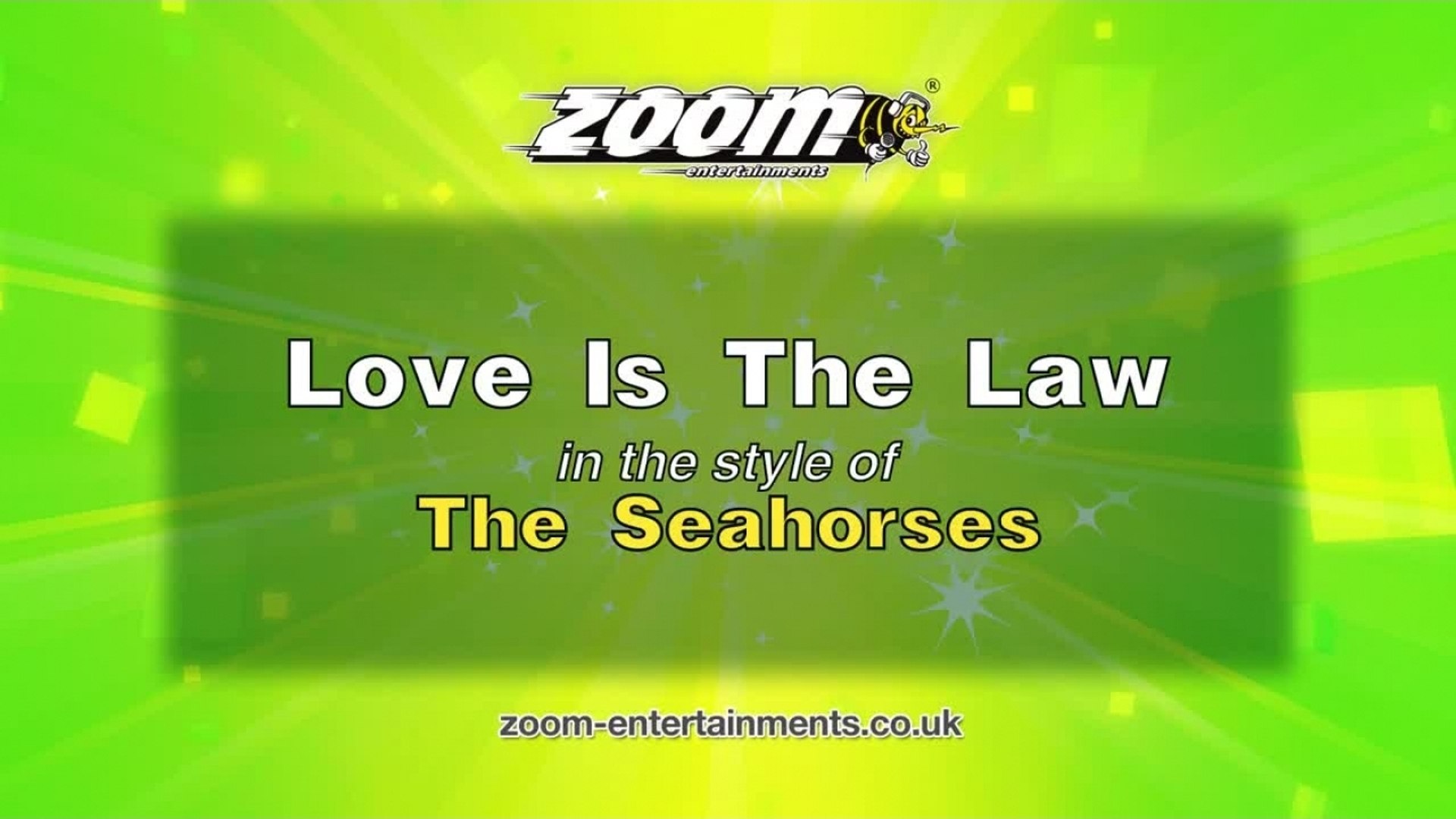 Zoom Karaoke - Love Is The Law - The Seahorses