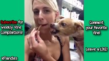 _NEW_ Best Dog VINE Compilation - Best VINES 2014 - Funniest VINE Compilation - Funny Vines