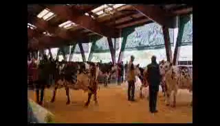 Concours d'arrondissement