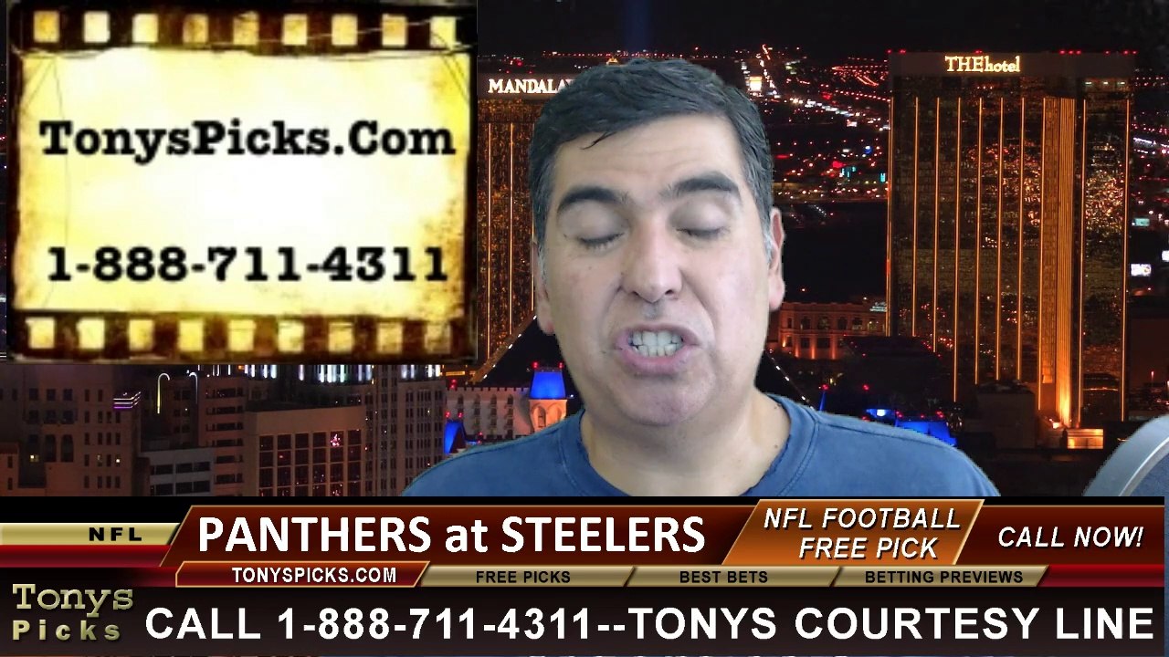 Pittsburgh Steelers vs. Carolina Panthers Pick Prediction NFL Preseason Pro Football Odds Preview 8-28-2014