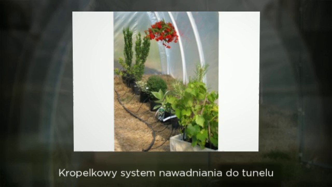 Tunele Foliowe