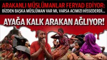 Birlik Olun Müslümanlar klibi - Anka İlahi Grubu 2014 HD İzle (Muhteşem Klip)