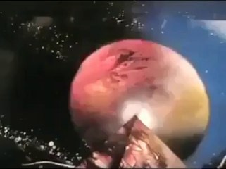 An Amazing Painting Made In Just 57 Seconds -oneclickcheck.com