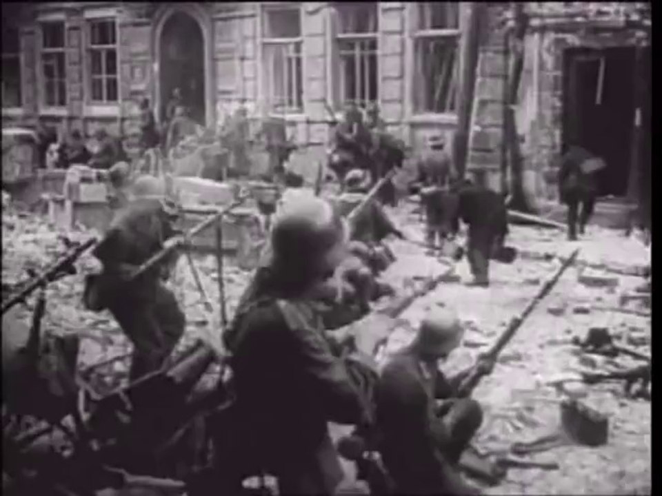 SS Viking 5th Panzer Eastern Front (SS Wiking)