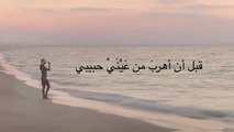 Hiba Tawaji - Ya Habibi (Lyric Video)  هبه طوجي - يا حبيبي