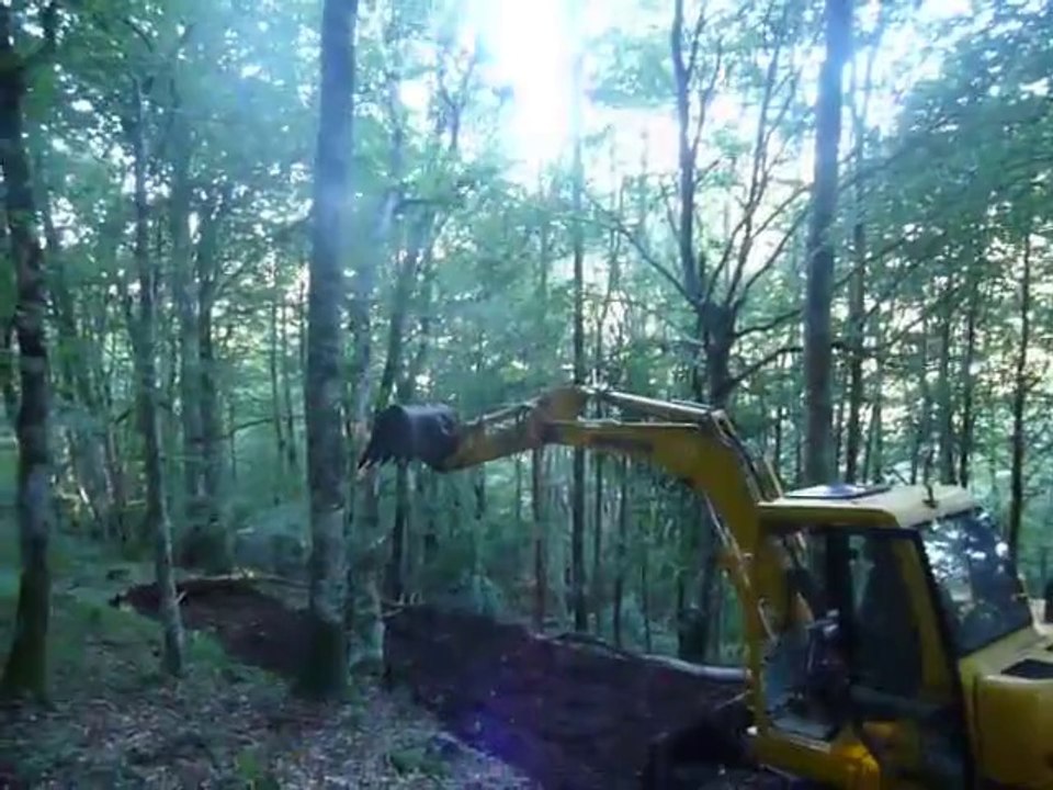 groupement forestier Avenir Forêt