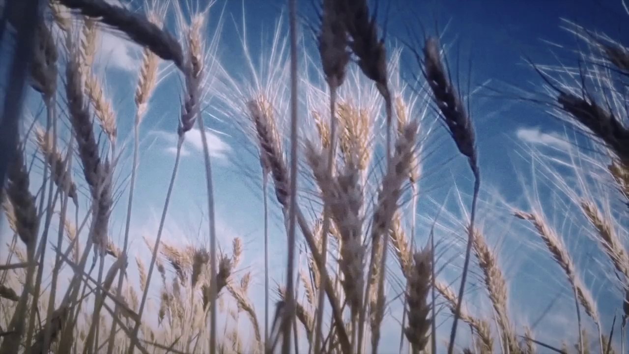 The Lords Prayer (Best original one)