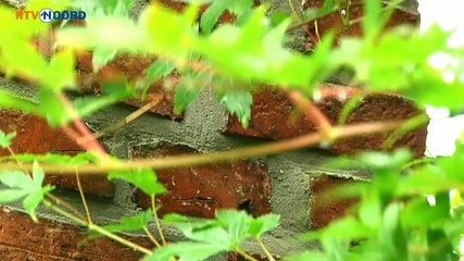 Beven op de Bult: Je zit de hele tijd de scheuren te bekijken - RTV Noord