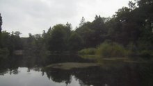 Heron at Beekhuizen