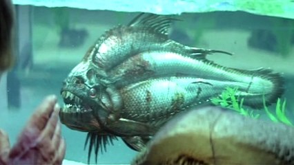 Bande-annonce : Piranha 3D VOST (2)