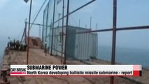 North Korea developing ballistic missile submarine - report