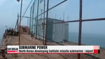 North Korea developing ballistic missile submarine - report