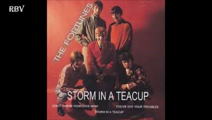 The Fortunes - Storm in a Teacup  HQ