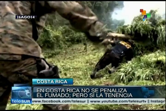 Costa Rica discute uso medicinal de la cannabis