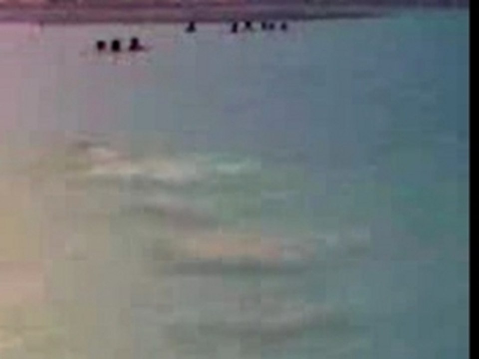 Ti Punch à la plage de Sainte Anne