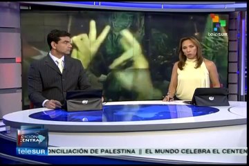 Acuerdo de cese al fuego en Gaza es celebrado por el pueblo palestino