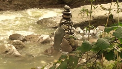 art brut en Suisse..Moine zen .......