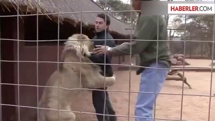 Aslan, Sarıldığı Gazeteciyi Bir Türlü Bırakmadı