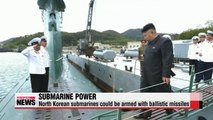 North Korea developing ballistic missile submarine - report