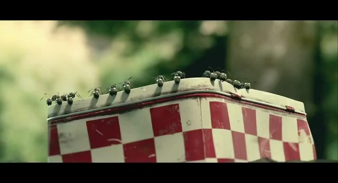 Minuscule: Valley of the Lost Ants / Minuscule – La Vallée des fourmis perdues (2014) - Trailer - English version