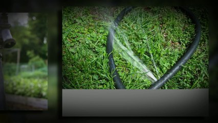 The Lord of Hose Adapters by 2wayz