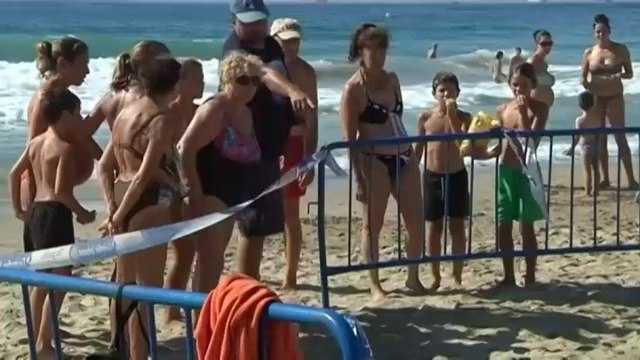 TV3 - Telenotícies vespre - Una tortuga pon 80 ous a Tarragona