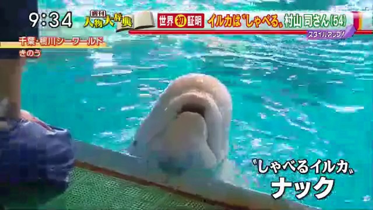 14 08 22 EX MB　しゃべるイルカ　ナック