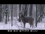[강남오피 줄리아나]아찔한밤 강남오피정보