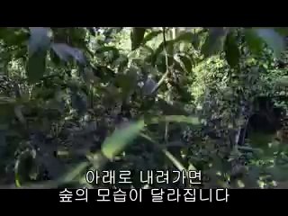 [역삼오피 홈런]아찔한밤 역삼오피정보