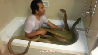 Boy Taking Bath with Snake