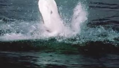 [선릉오피 S라인]아찔한밤 선릉오피정보