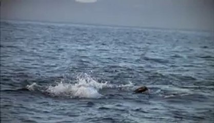 [선릉오피 즐겨찾기]아찔한밤 선릉오피정보