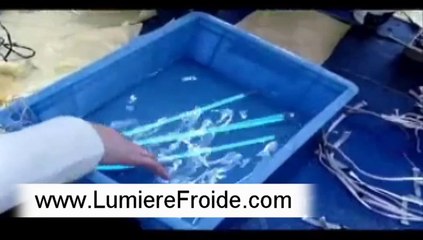 Bandes lumineuses - essais du feu et de l'immersion dans l'eau - LumiereFroide.com